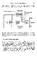 John K-J Li - Dynamics of the Vascular System, page 50